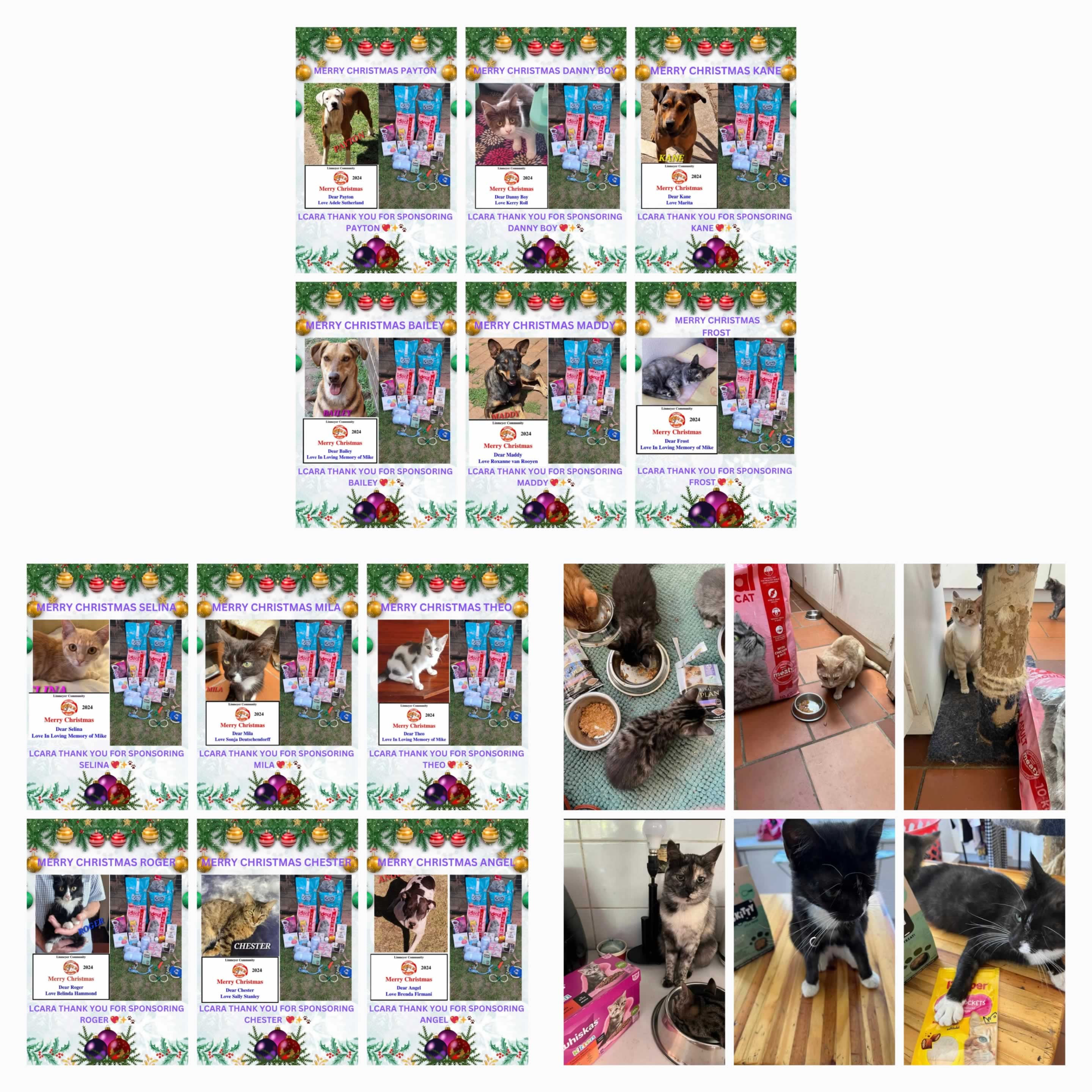 Listeners Community Animal Rescue Association 